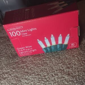 Holiday Home Clear Mini Lights with Green Wire